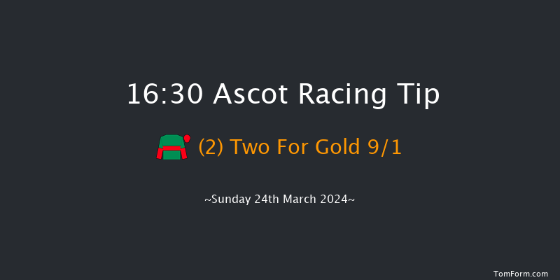 Ascot  16:30 Handicap Chase (Class 2) 24f Sat 17th Feb 2024