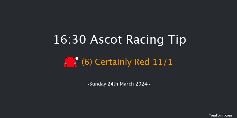 Ascot  16:30 Handicap Chase (Class 2) 24f Sat 17th Feb 2024