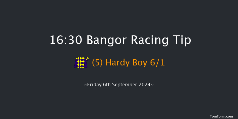 Bangor-on-dee  16:30 Handicap Hurdle (Class 2) 23f Fri 28th Jun 2024