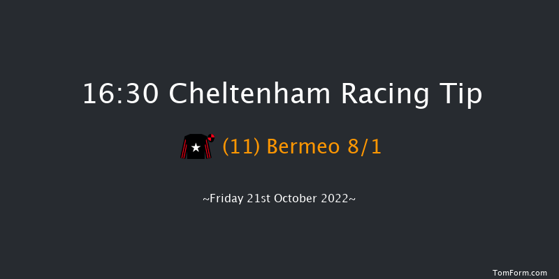 Cheltenham 16:30 Handicap Chase (Class 3) 25f Fri 29th Apr 2022