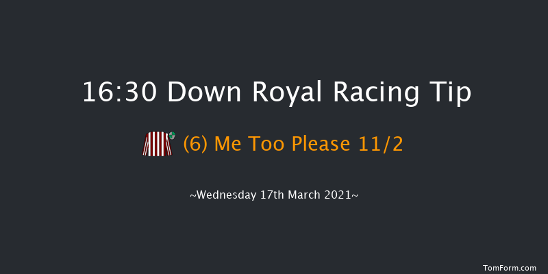 Bluegrass Horse Feeds Mares Flat Race Down Royal 16:30 NH Flat Race 17f Thu 4th Feb 2021