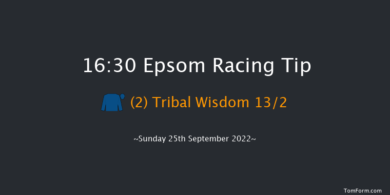 Epsom 16:30 Handicap (Class 4) 8f Thu 8th Sep 2022