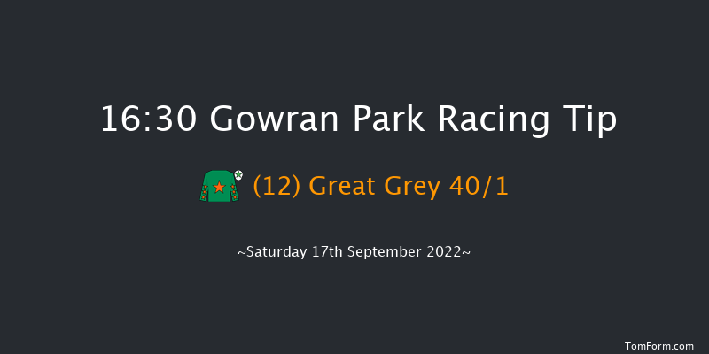 Gowran Park 16:30 Handicap 10f Wed 31st Aug 2022