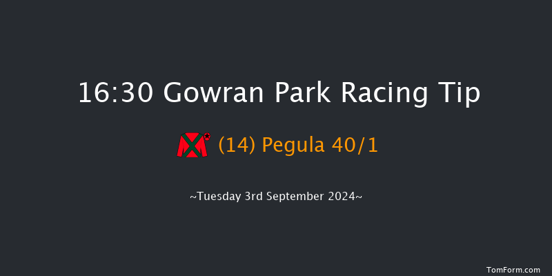 Gowran Park  16:30 Handicap 8f Wed 14th Aug 2024