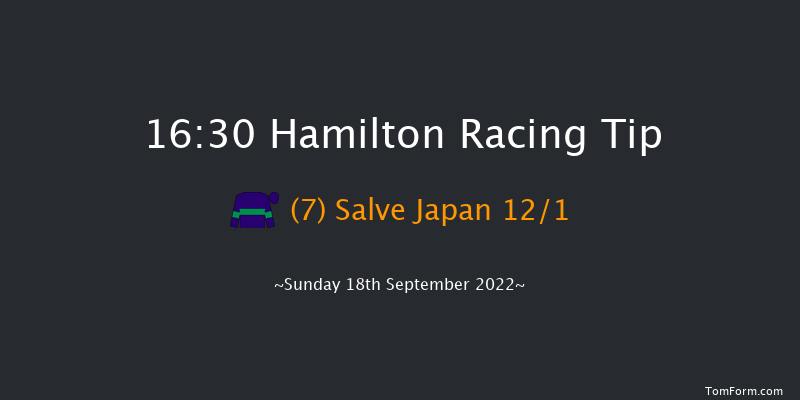 Hamilton 16:30 Handicap (Class 5) 11f Wed 31st Aug 2022