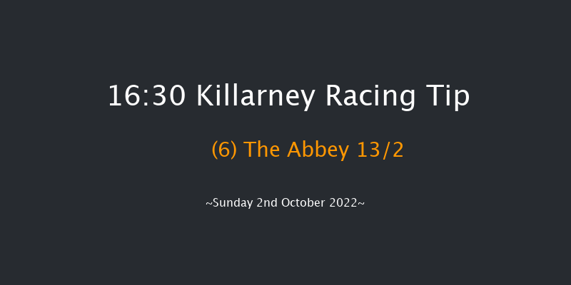 Killarney 16:30 Beginners Chase 23f Sat 1st Oct 2022