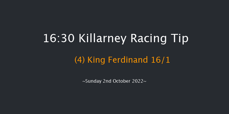 Killarney 16:30 Beginners Chase 23f Sat 1st Oct 2022