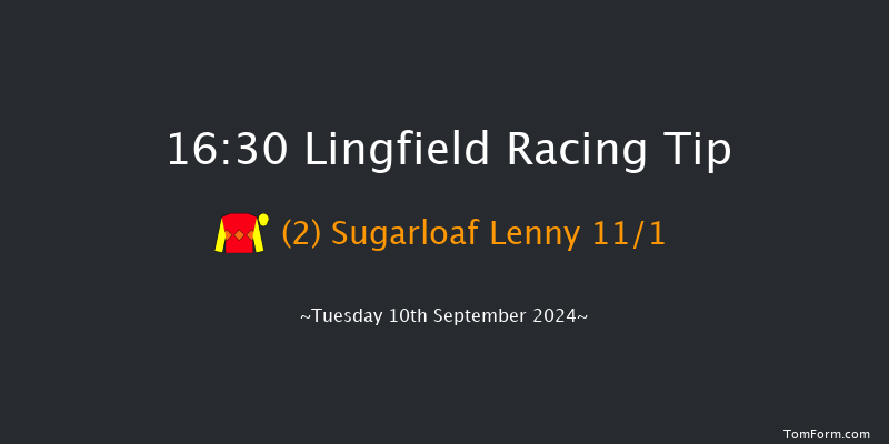 Lingfield  16:30 Handicap (Class 5) 12f Thu 5th Sep 2024