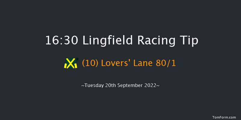 Lingfield 16:30 Stakes (Class 5) 10f Wed 31st Aug 2022