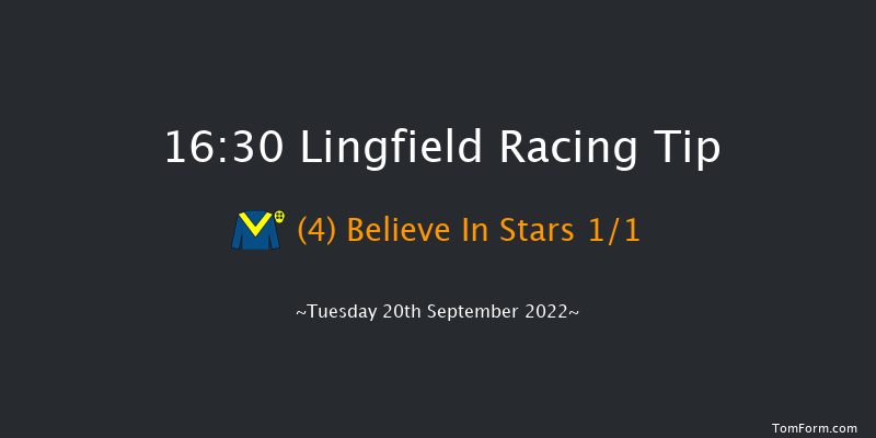 Lingfield 16:30 Stakes (Class 5) 10f Wed 31st Aug 2022