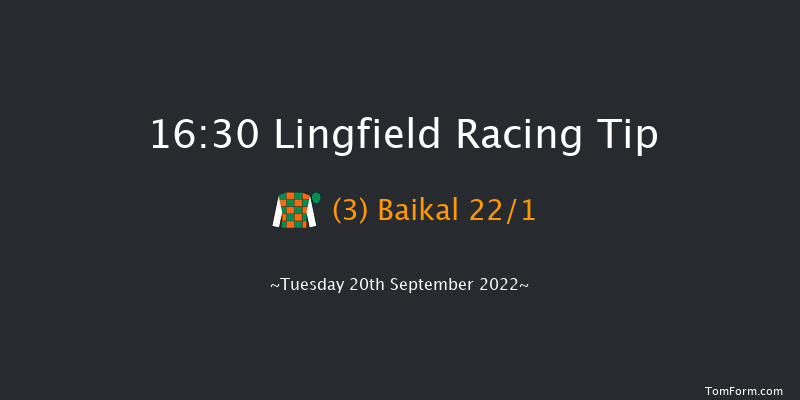 Lingfield 16:30 Stakes (Class 5) 10f Wed 31st Aug 2022