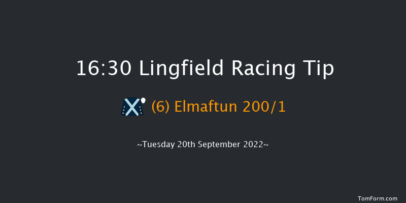 Lingfield 16:30 Stakes (Class 5) 10f Wed 31st Aug 2022