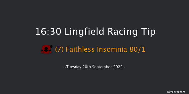 Lingfield 16:30 Stakes (Class 5) 10f Wed 31st Aug 2022