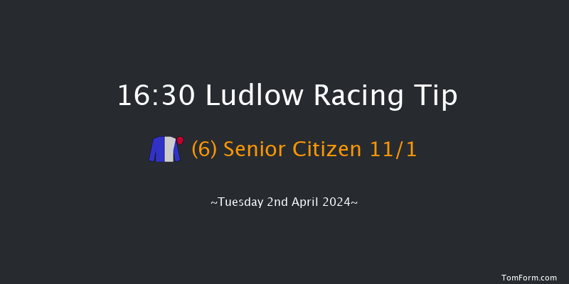 Ludlow  16:30 Hunter Chase (Class 4) 20f Thu 21st Mar 2024