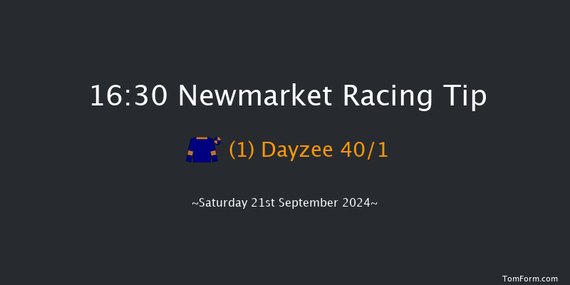 Newmarket  16:30 Handicap (Class 4) 10f Sat 24th Aug 2024