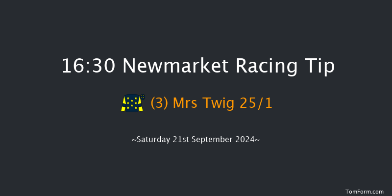 Newmarket  16:30 Handicap (Class 4) 10f Sat 24th Aug 2024