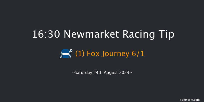 Newmarket  16:30 Handicap (Class 3) 14f Fri 23rd Aug 2024