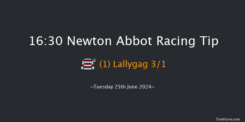 Newton Abbot  16:30 Handicap Hurdle (Class
4) 26f Fri 14th Jun 2024