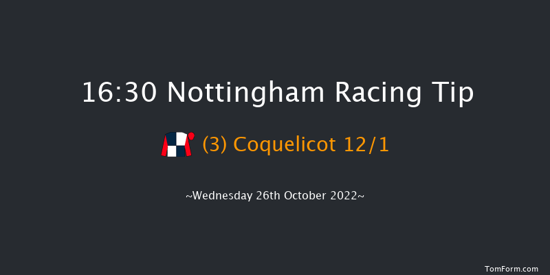 Nottingham 16:30 Stakes (Class 4) 14f Wed 12th Oct 2022