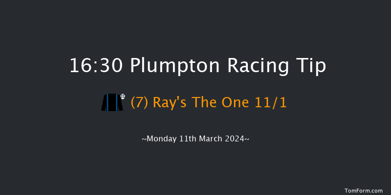 Plumpton  16:30 Handicap Hurdle (Class 4)
20f Mon 4th Mar 2024