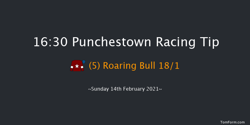 Punchestown Grand National Trial Handicap Chase (Grade B) Punchestown 16:30 Handicap Chase 28f Mon 18th Jan 2021