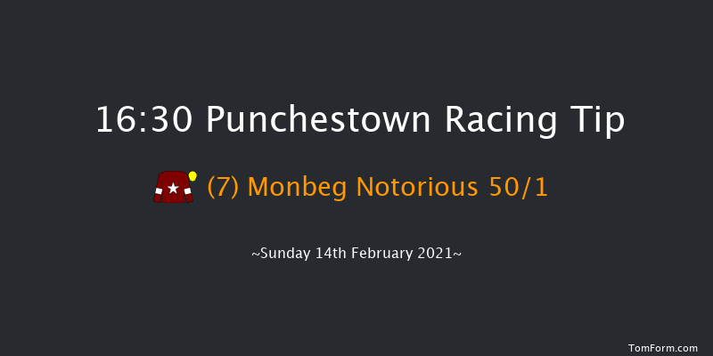 Punchestown Grand National Trial Handicap Chase (Grade B) Punchestown 16:30 Handicap Chase 28f Mon 18th Jan 2021