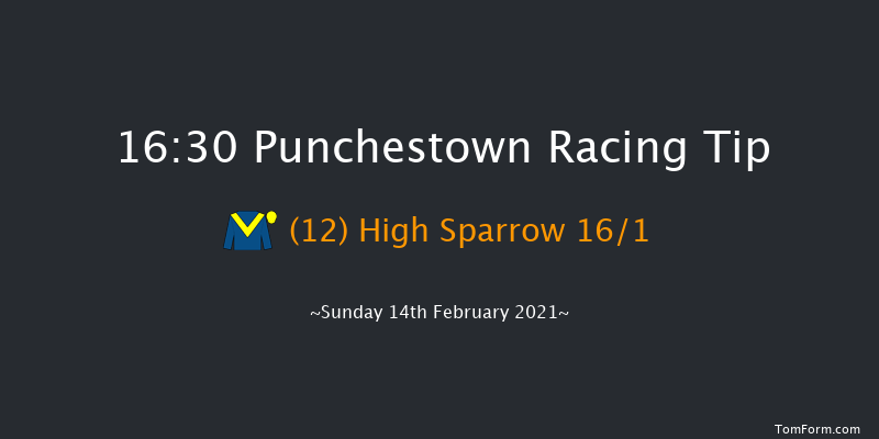 Punchestown Grand National Trial Handicap Chase (Grade B) Punchestown 16:30 Handicap Chase 28f Mon 18th Jan 2021