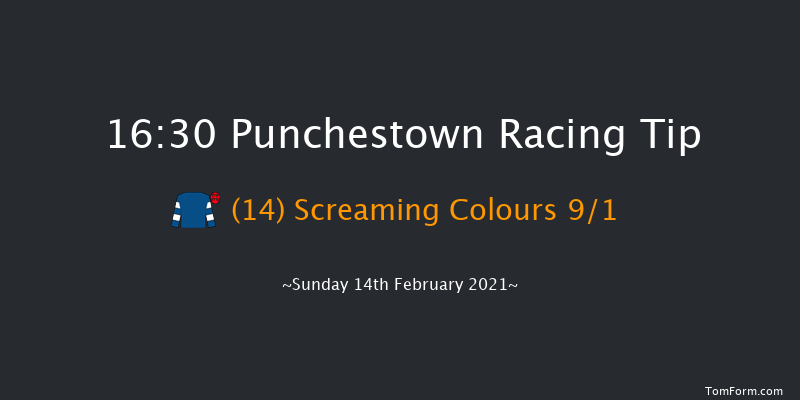 Punchestown Grand National Trial Handicap Chase (Grade B) Punchestown 16:30 Handicap Chase 28f Mon 18th Jan 2021