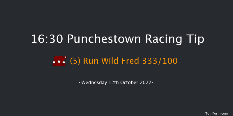 Punchestown 16:30 Conditions Chase 24f Tue 11th Oct 2022