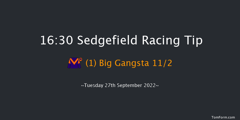 Sedgefield 16:30 NH Flat Race (Class 5) 17f Thu 1st Sep 2022