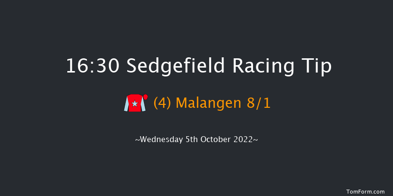 Sedgefield 16:30 Handicap Hurdle (Class 4) 17f Tue 27th Sep 2022