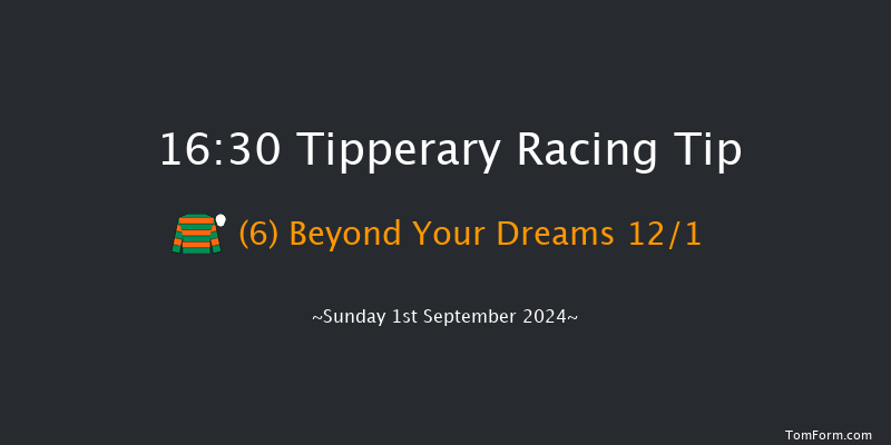 Tipperary  16:30 Handicap 9f Thu 4th Jul 2024