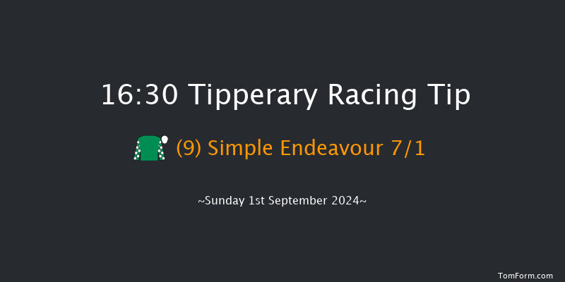 Tipperary  16:30 Handicap 9f Thu 4th Jul 2024