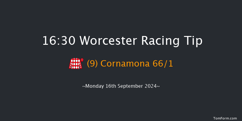 Worcester  16:30 Handicap Hurdle (Class 5) 20f  Wed 11th Sep 2024