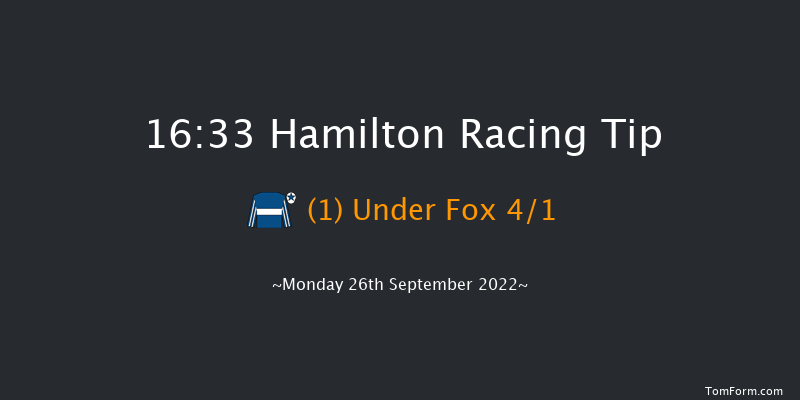 Hamilton 16:33 Handicap (Class 5) 8f Sun 18th Sep 2022