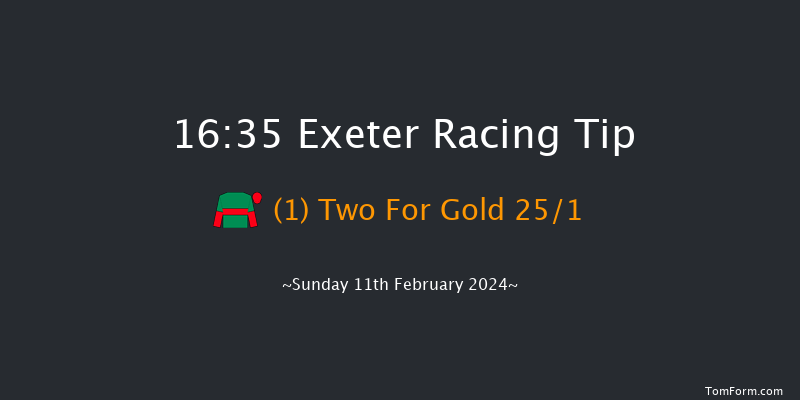 Exeter  16:35 Handicap Chase (Class 2) 24f Wed 31st Jan 2024