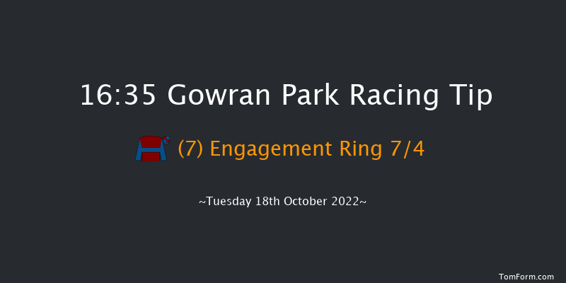 Gowran Park 16:35 Maiden 12f Sat 1st Oct 2022