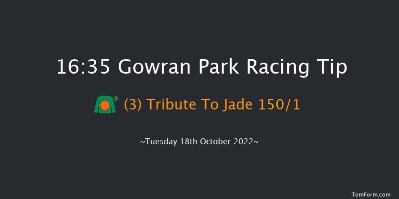 Gowran Park 16:35 Maiden 12f Sat 1st Oct 2022