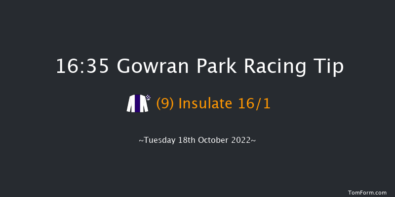 Gowran Park 16:35 Maiden 12f Sat 1st Oct 2022