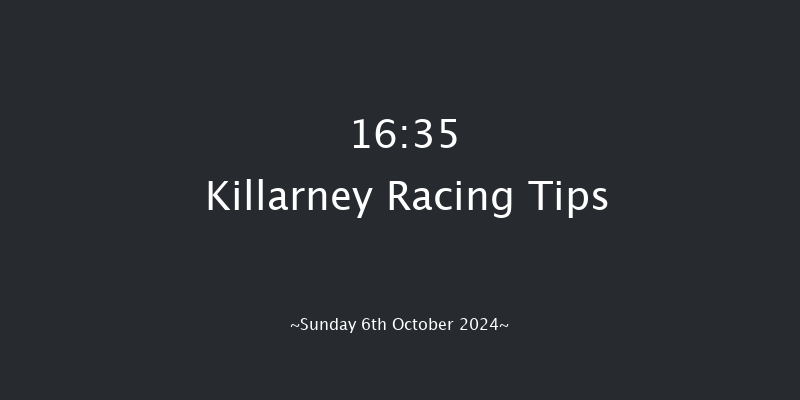 Killarney  16:35 Maiden Chase 24f Sat 24th Aug 2024