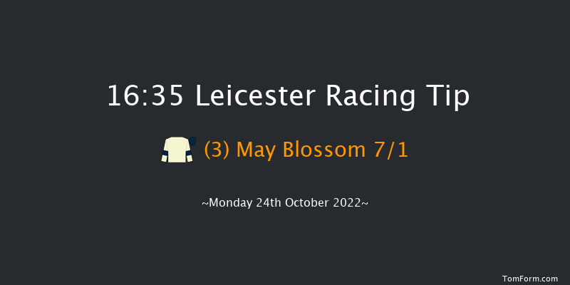 Leicester 16:35 Handicap (Class 4) 5f Tue 11th Oct 2022