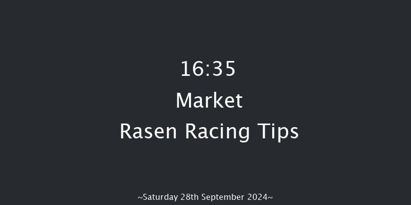 Market Rasen  16:35 Handicap Hurdle (Class 2) 17f Sat 17th Aug 2024