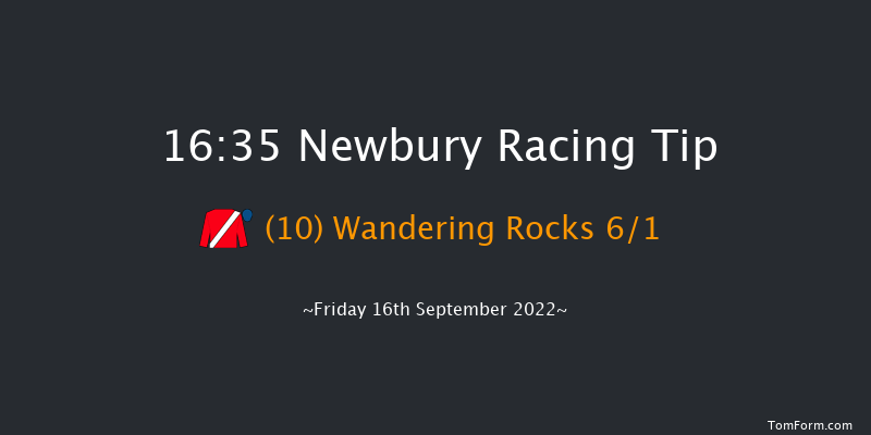 Newbury 16:35 Handicap (Class 2) 12f Fri 19th Aug 2022