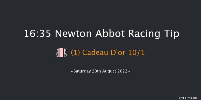 Newton Abbot 16:35 Handicap Hurdle (Class 5) 17f Mon 25th Jul 2022