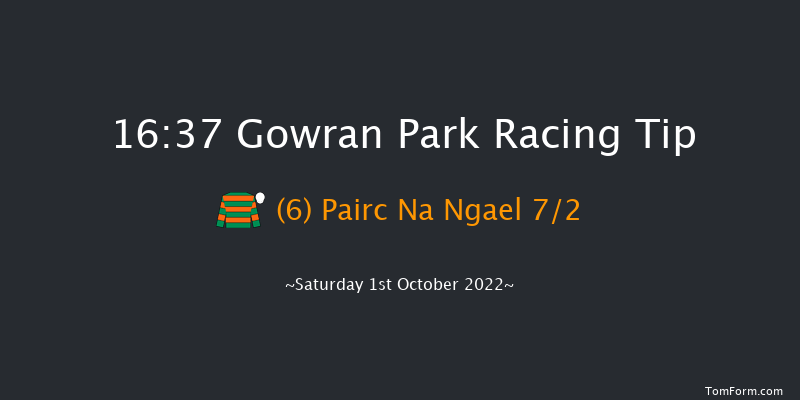 Gowran Park 16:37 Handicap Chase 20f Fri 30th Sep 2022