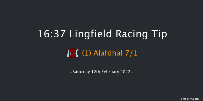 Lingfield 16:37 Stakes (Class 5) 8f Sat 5th Feb 2022