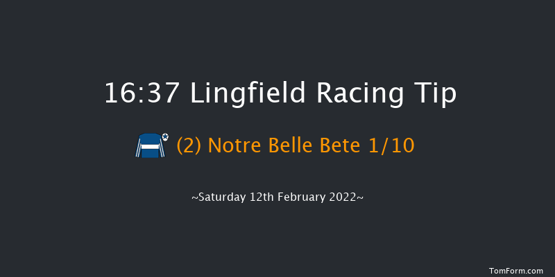 Lingfield 16:37 Stakes (Class 5) 8f Sat 5th Feb 2022