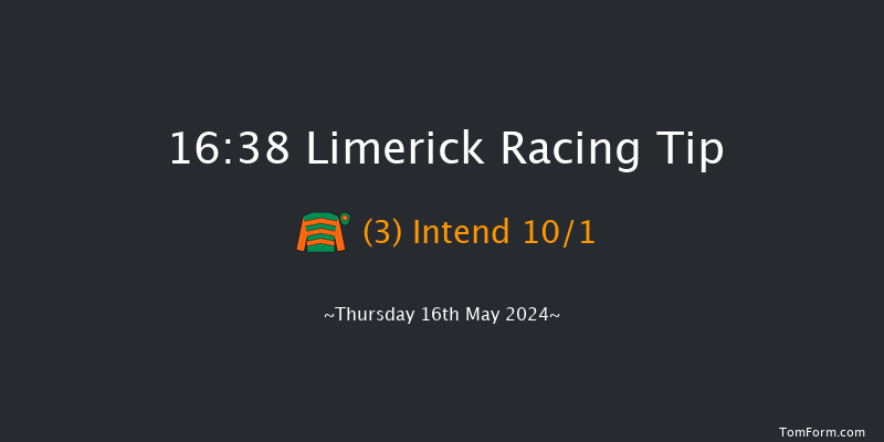 Limerick  16:38 Handicap 11f Fri 19th Apr 2024