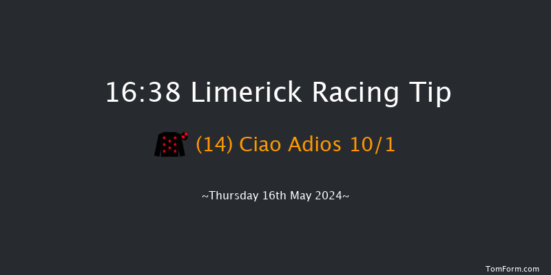 Limerick  16:38 Handicap 11f Fri 19th Apr 2024