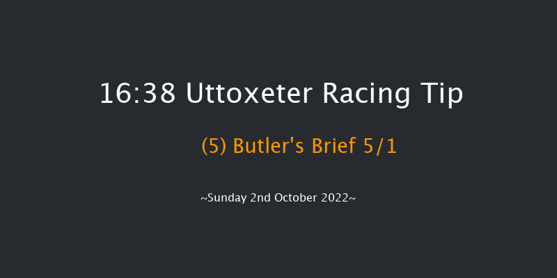 Uttoxeter 16:38 Handicap Hurdle (Class 3) 23f Tue 13th Sep 2022